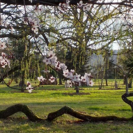 Domaine Berenguer Bed and Breakfast Ouches Buitenkant foto